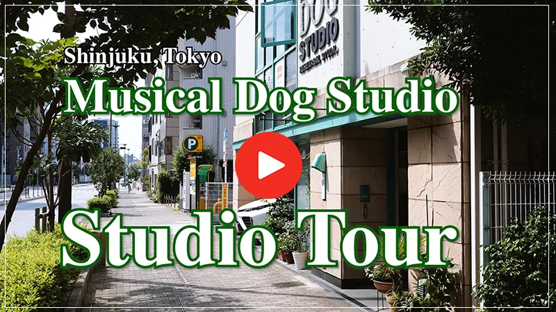Musical Dog Studio in Tokyo Studio Tour Movie